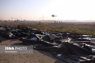 В авіакатастрофі в Ірані загинули громадяни 7 країн, серед них 11 українців: імена загиблих