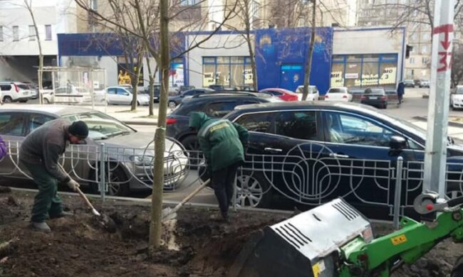 На проспекті Тичини висадили перші в цьому році клени