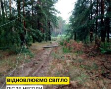 Гроза спричинила аварійні відключення на Київщині