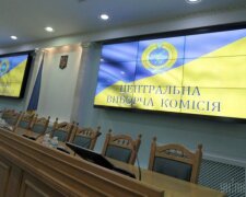 Литвина та Шарія не зареєстрували кандидатами в нардепи