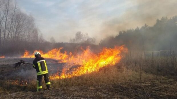 Весняні пожежі в Україні здебільшого стаються з вини людей