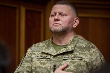 Київрада цього тижня вирішуватиме, чи стане Залужний Почесним громадянином Києва