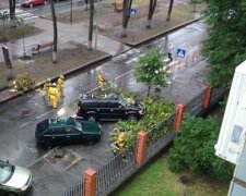 Буря у Києві зірвала металевий дах і потрощила дерева