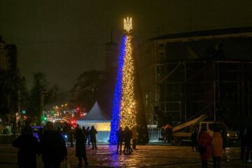 Новорічну ялинку на Софійській площі встановлять за кошти меценатів