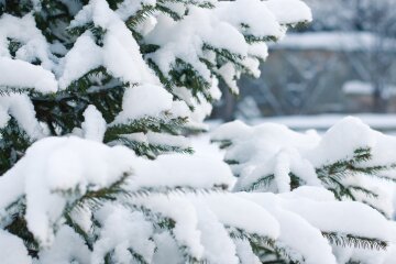Метеорологічна зима