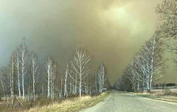 Лісові пожежі в зоні відчуження гасять сотні рятувальників на землі та з повітря