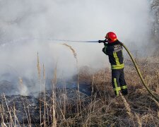 Київ та передмістя страждають від пожеж