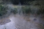 Потоки окропу: в озеро Голосіївського парку зливають гарячу воду (відео)