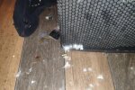У Харкові забили до смерті охоронця нардепа