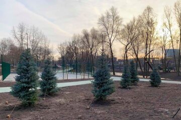 На Троєщині завершують реконструкцію парку