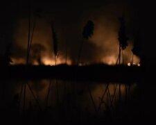 Пожежа в екопарку Осокорки — активісти та політико-громадські діячі стверджують, що це підпал