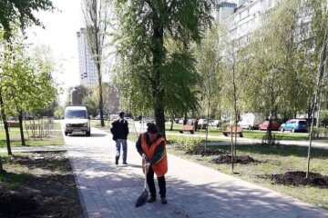 Бульвар Академіка Вернадського в Києві прикрашатимуть платани