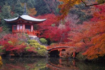 У японському місті Кіото висадять київські каштани