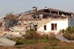 На Запоріжжі росіяни вбили майже 1000 корів