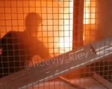 У центрі Києва загорілося кафе (відео)