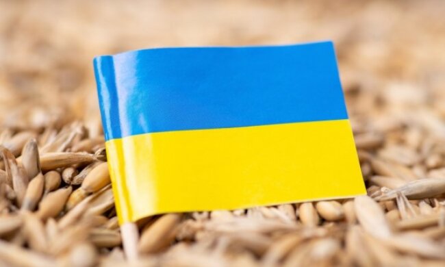 Посол України заявив, що Туреччина купує в росії крадене українське зерно