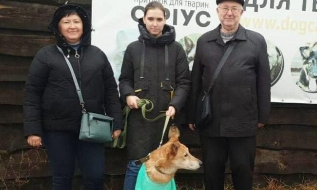У Києві пcа Джека, якого власниця прив’язала у парку та поїхала за кордон, забрали в сім’ю
