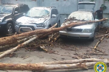 Київські рятувальники прибрали дерево, що впало внаслідок негоди на припарковані авто у Шевченківському районі