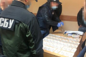Заступника начальника відділу поліції на Київщини затримали на хабарі у 500 тисяч