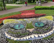 На День Києва чарівний пеньок у парку Перемога виконуватиме бажання