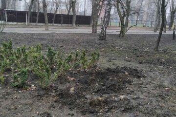 Розпач та відчай: за ніч вандали обікрали два сквери на Лівому березі