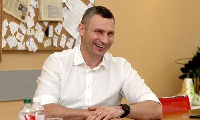 Мер Києва Віталій Кличко задекларував елітні будинки та поділ майна при розлученні
