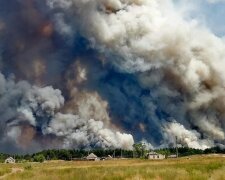 85 га лісових пожеж: в Луганській області горять села, людей евакуюють (фото, відео)