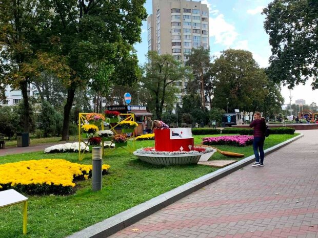 Час пити чай: у столичному парку з`явились велетенські чашки з квітами (фото)