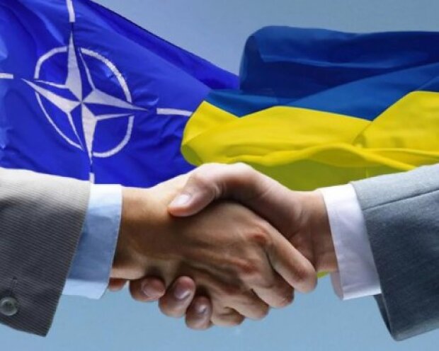 НАТО в повному складі їде в Україну