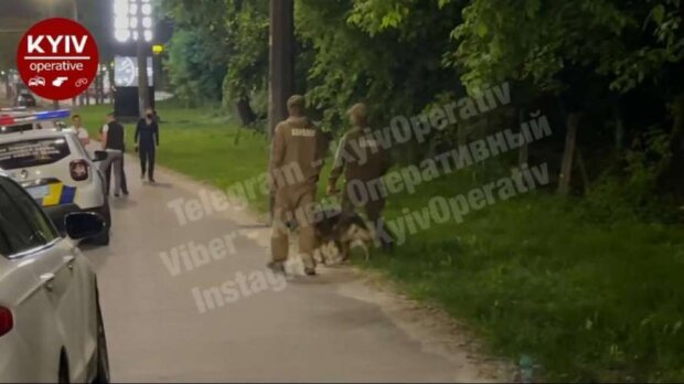 У кущах біля Дорогожичів виявили оголений жіночий труп (відео)