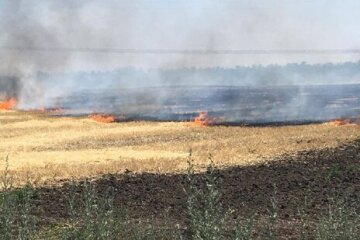Через російські обстріли згоріло 20 га пшениці – голова Дніпропетровської облради