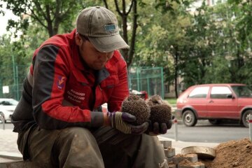 У Броварах довелося розібрати під’їзд, щоб врятувати їжаків