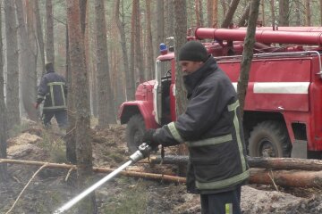 В Зоні відчуження тривають пожежі: що відомо (відео)