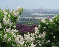 В ботанічному саду Києва вперше пройде екофестиваль