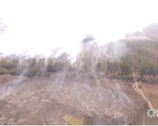 Вогонь знищив 5 га лісу: затримали винуватця масштабної пожежі в Чорнобилі