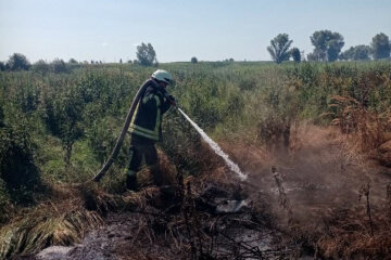 Під Києвом з самого ранку горять торф’яники