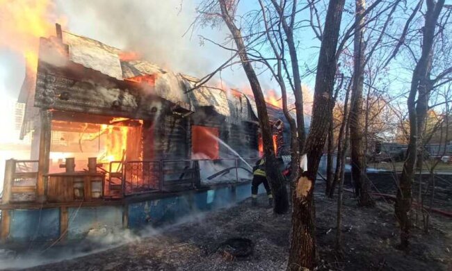 Пожежа в Гідропарку: горів дерев’яний корабель (відео)