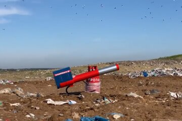 На сміттєзвалищі під Києвом по птахам стріляють з гармати (відео)