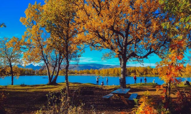 В Україну прийде “бабине літо” і різко потеплішає до +20