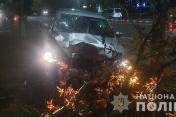 На Київщині п’яний коп збив двох жінок на переході, одна з них померла (відео)