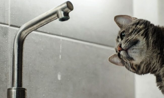 Киянам вимкнули воду: список адрес