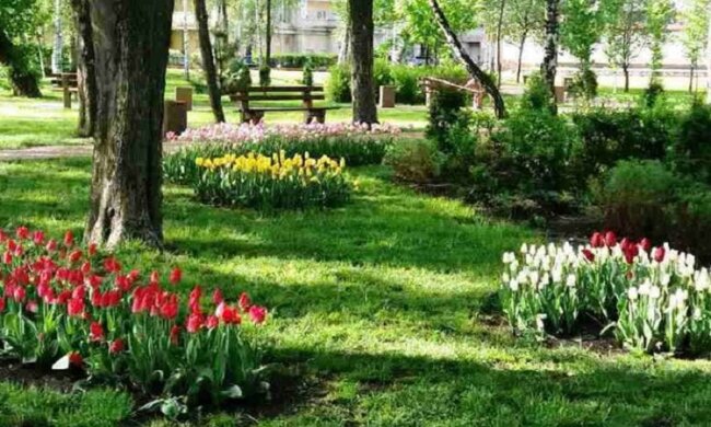 Які оновлення зробили для киян у парку Сирецький
