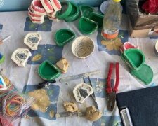 Наркотики у гіпсових зубах: у столиці судитимуть банду «стоматологів»-наркодилерів