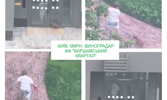 Собаку купили, виховання не купили. На Виноградарі малолітній знущався над цуценям