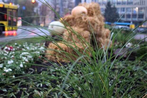 Селфі на Хелловін: у Києві з`явилась фотозона із гарбузами та квітами (фото)