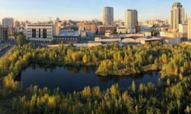 Котячого озера не буде: забудовник відсудив у міста ділянку біля Олімпійської