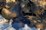 Чиновника підозрюють у захороненні токсичних важких металів під Києвом