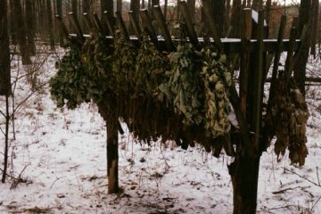 Лісівники Києва допомагають диким тваринам пережити зиму