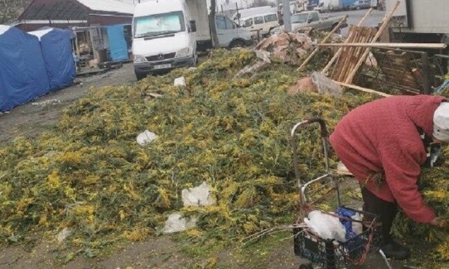 Після 8 березня на Троєщині виник величезний квітковий смітник