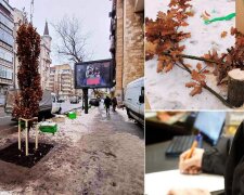 Поліція Києва відкрила справу за фактом знищення дуба, посадженого у пам'ять про загиблого Романа Ратушного
